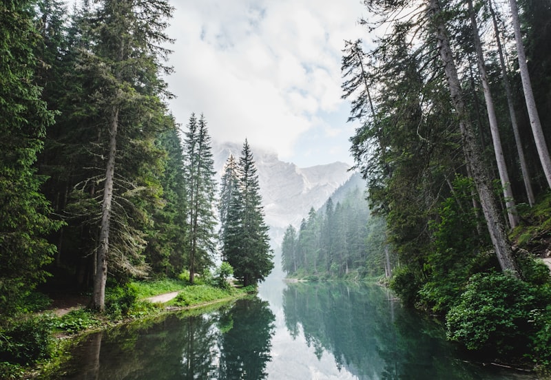 Forêt et planification écologique